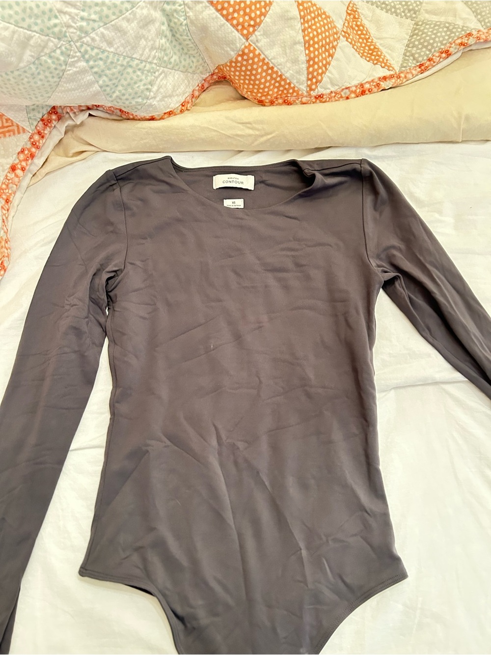 Babaton Long Sleeve Bodysuit in Gray